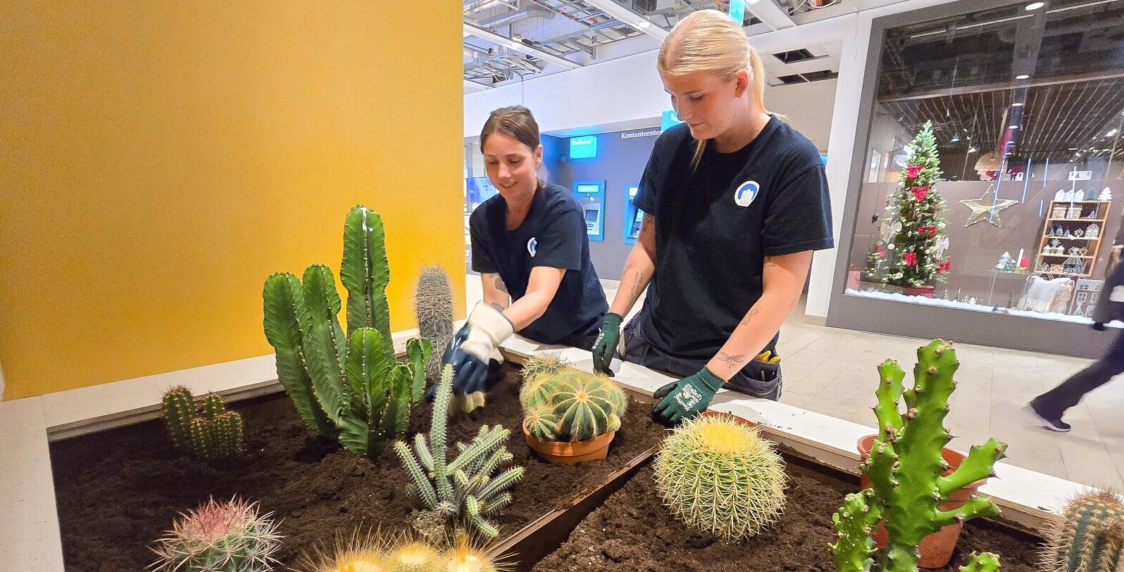 Planteringen vid nya galleriatorget färdigställs av personal från ABK